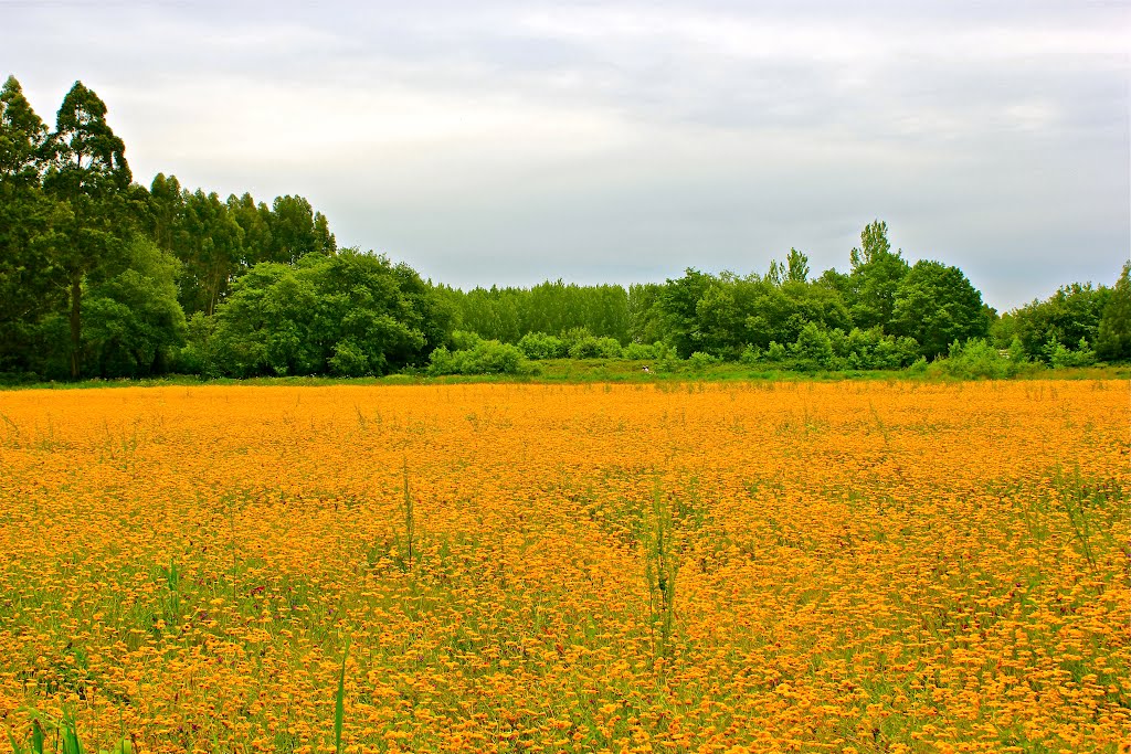 13/5/2012--MY SUNDAY WALKING. by Guizel