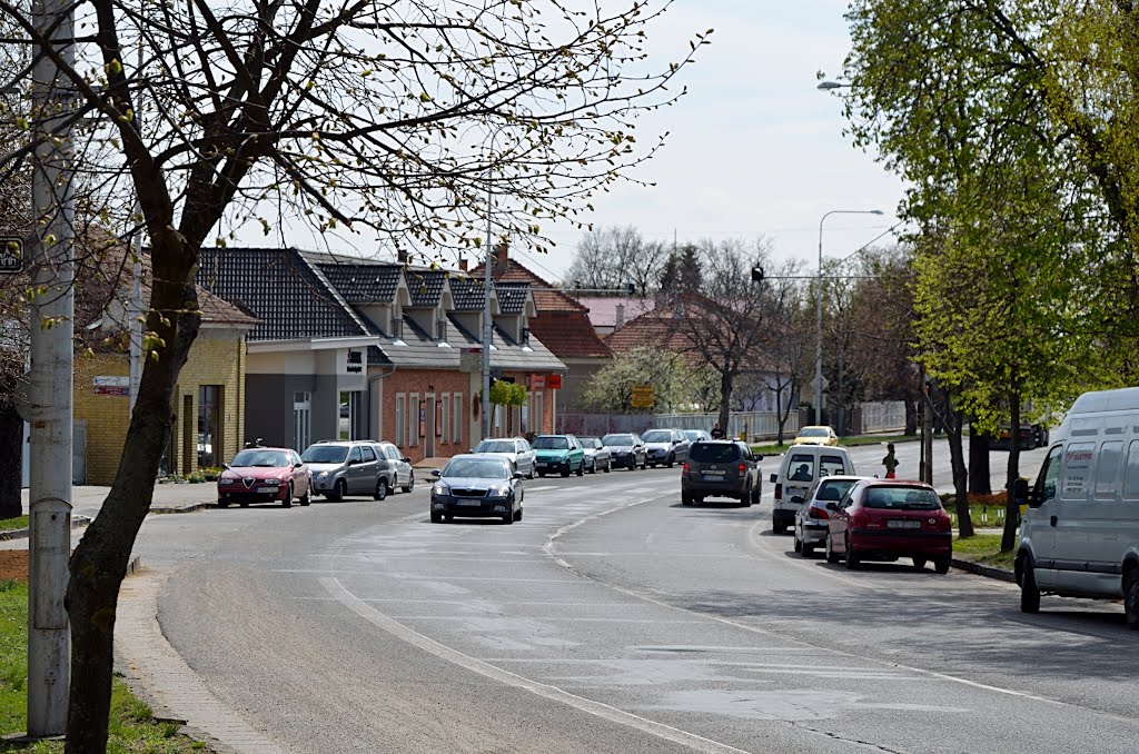 Komárňanská cesta by Vadkerti Frant.