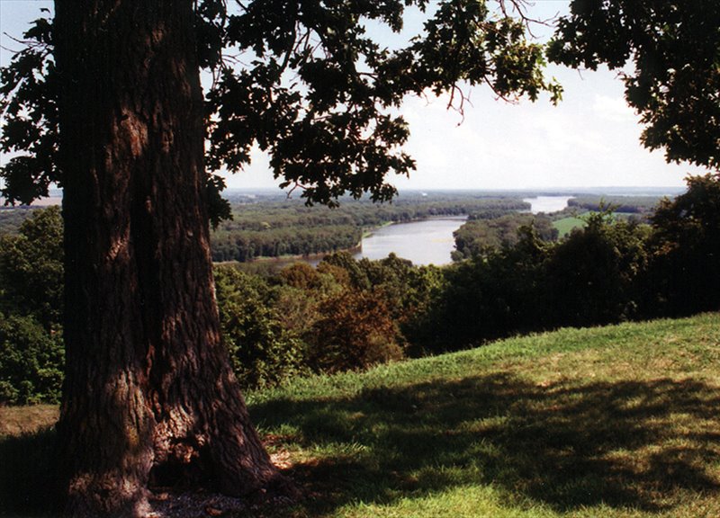 Mississippi River between Hannibal and Louisiana by Brad Lyons