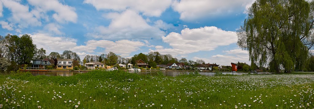 Thames at Runnymead pleasure gardens by davewhitelock