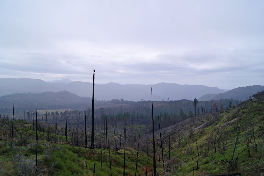 Burned Land by Andrey V. Kukushkin