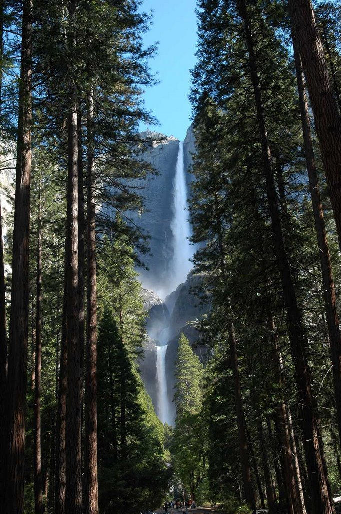 Yosemite Falls by garydj