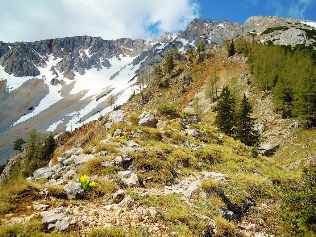 SCHNEEBERG , Nandlgrat . ( 6. Mai 2012 ) by Don.Ebro