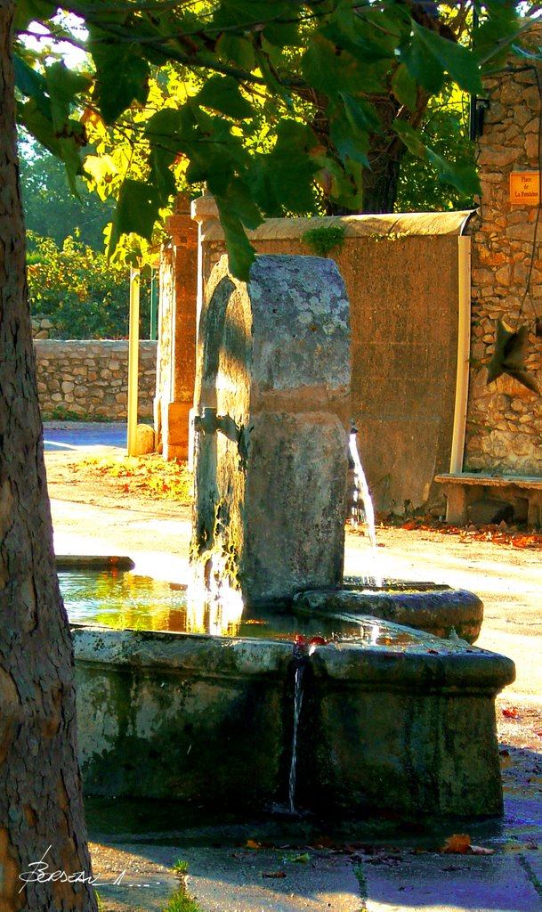 FONS sur LUSSAN...GARD...FRANCE. by BORDEAU Alain.(NO VIEWS!)