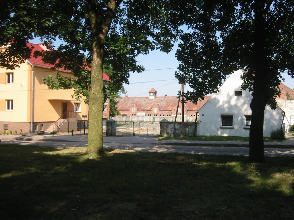 Next to the palace. village community center and distillery buildings by dev666