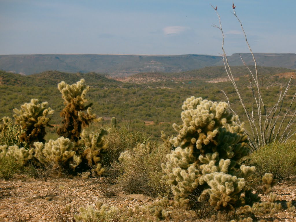 Black Canyon, Arizona by schwist