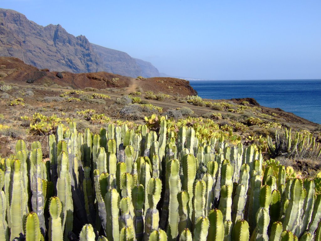 Pointe de Tenerife by eric beauducel