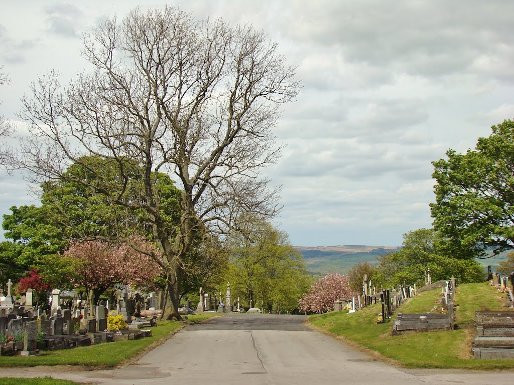 Crookes Cemetery scene in spring looking due north, Sheffield S10 by sixxsix