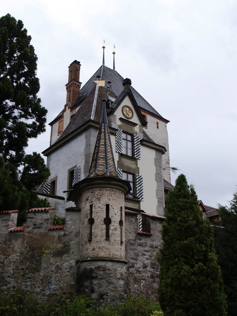 SCHLOSS OBERHOFEN THUNERSEE Suiza by gonzalo galipienso