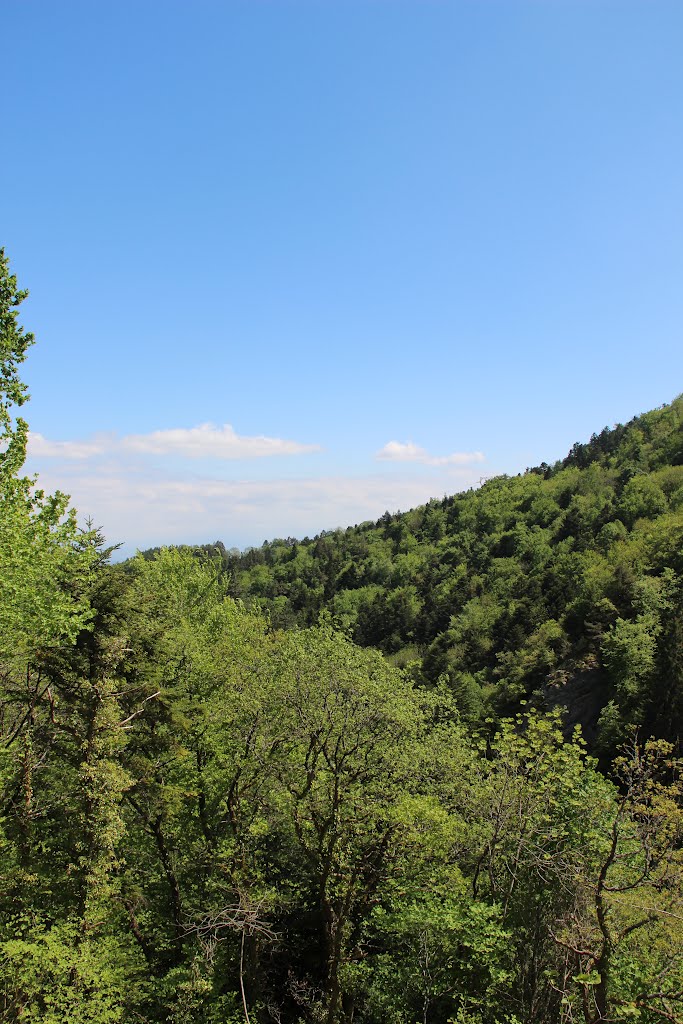 Scenic view at the Creux de l'Envers by 6004592