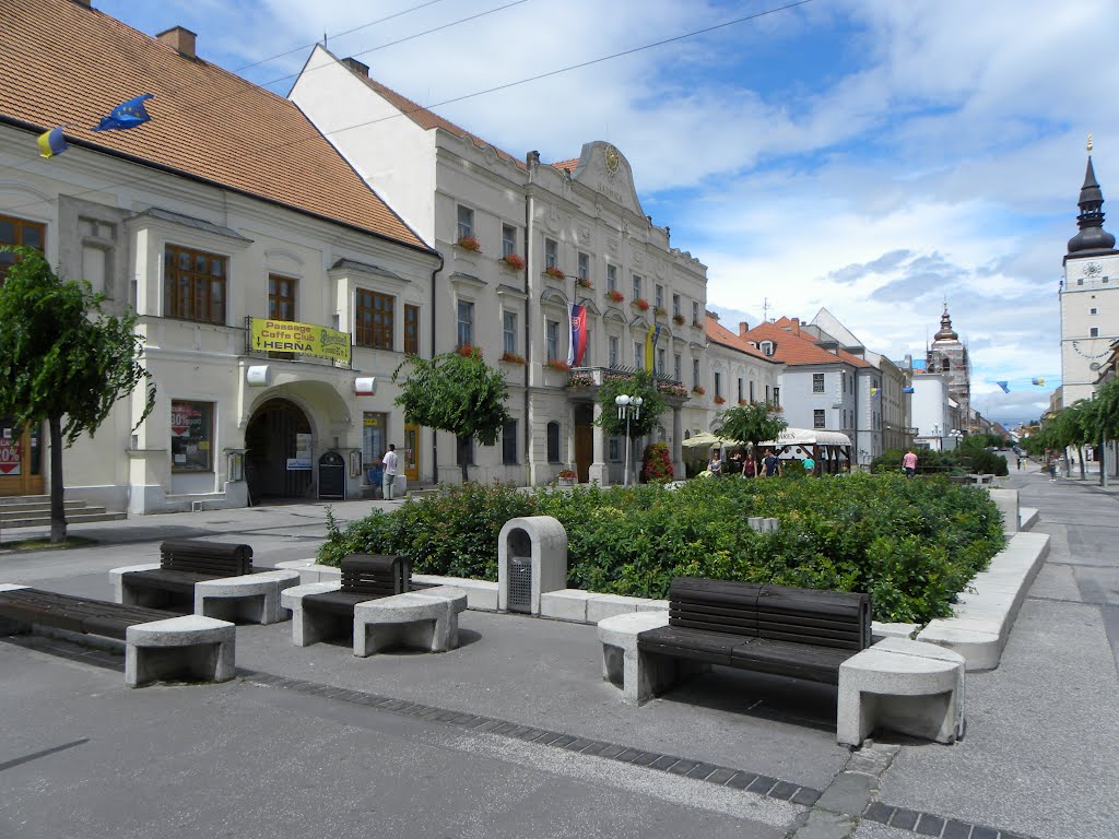 Trnava by Škovran Milan