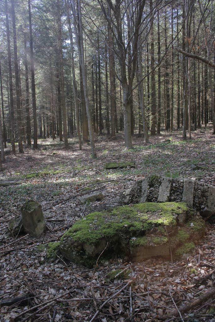 *Vestiges 1914-1918 - Bois de la Gruerie: Waldfriedhof IR124, monument (démoli) by Hans Briaire