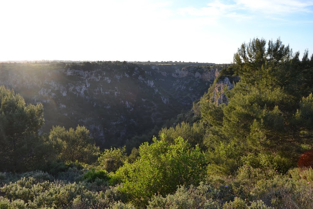 Apulian canyons, le gravine by Elio Litti