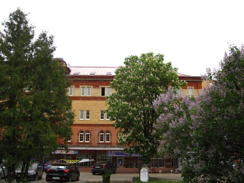 Chestnut tree and Lilac bush,2 друга Каштан и сирень by Jareer Goussous