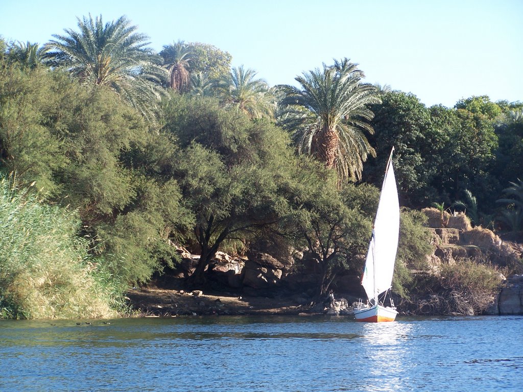 Aswan by Jose Luis Blasco