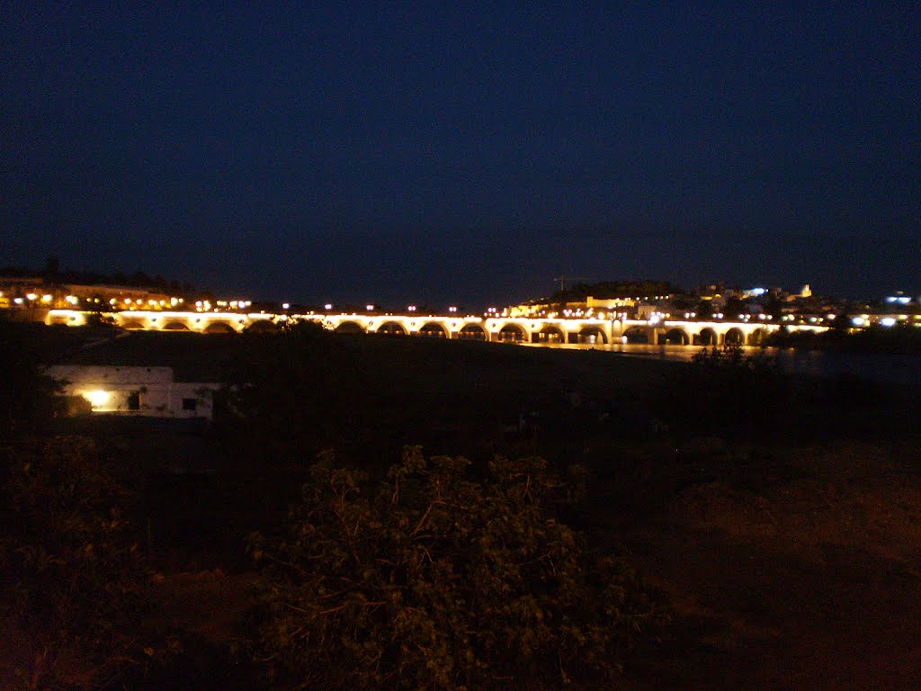 Puente de Palmas iluminado by guadiato16