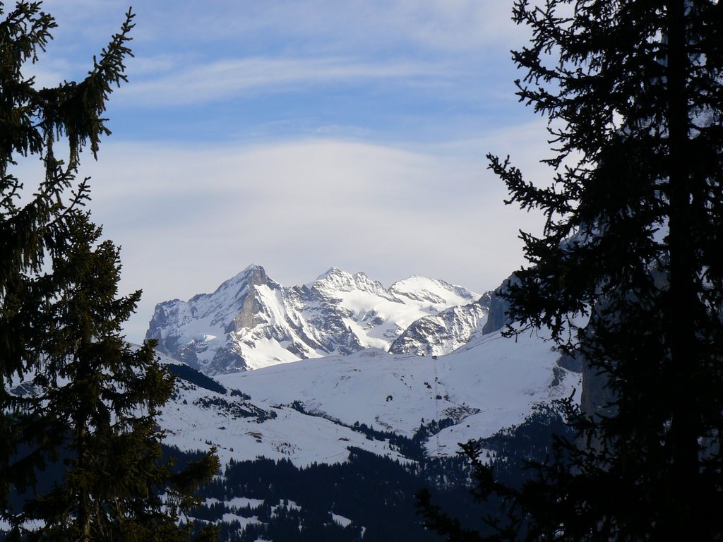 Excursion por Murren. Alpes by msotomayor