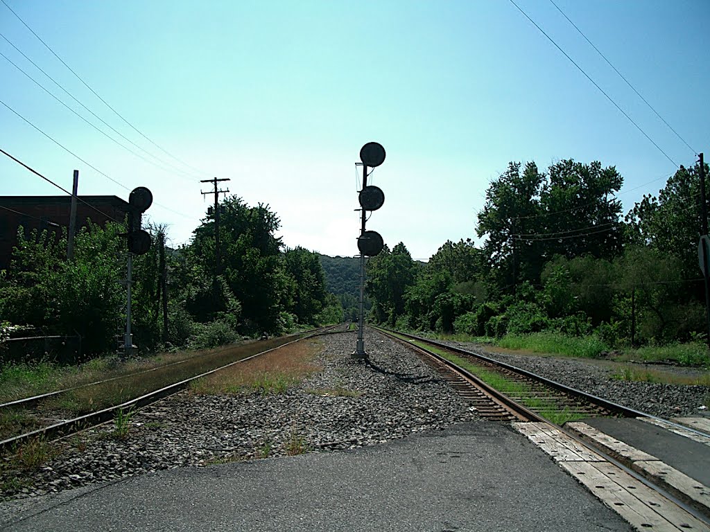 RR Signals by Adam Elmquist