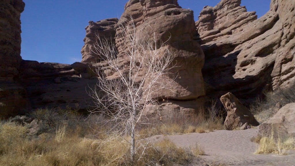 San Lorenzo Canyon by jhubbard11