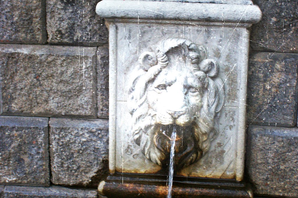 Lion fountain by chetross68