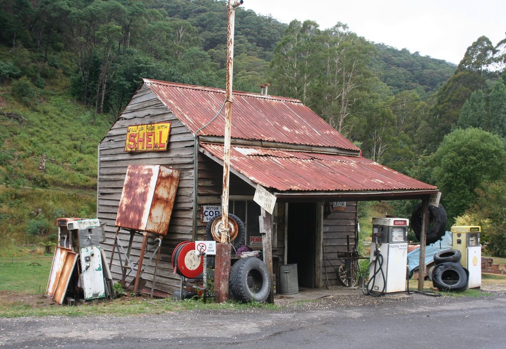 Working gas station by Palmina Moore