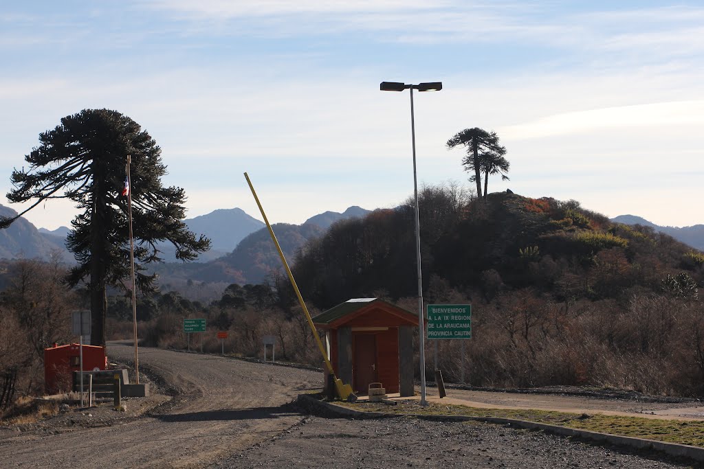 Frontera chilena custodiada por araucarias. by Ariel Vazquez