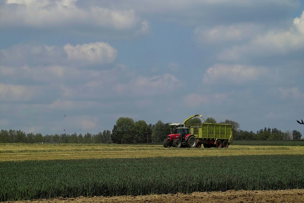 De rode tractor by Denis Dhondt