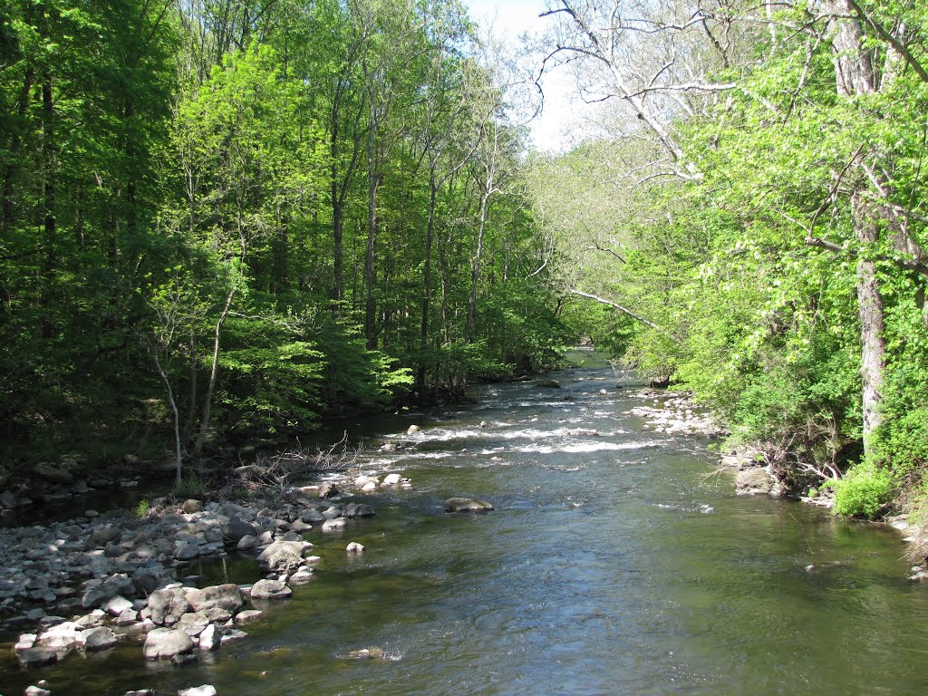 Paulinskill Creek Downstream from Mill by Chris Sanfino