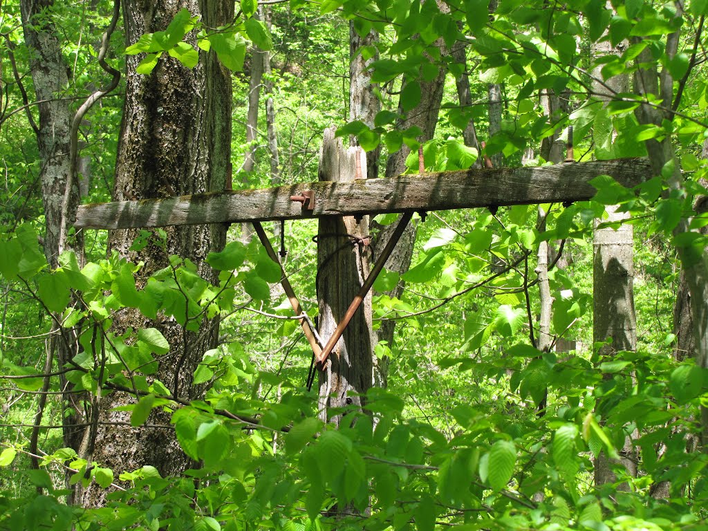 Paulinskill Valley Telegraph Pole by Chris Sanfino