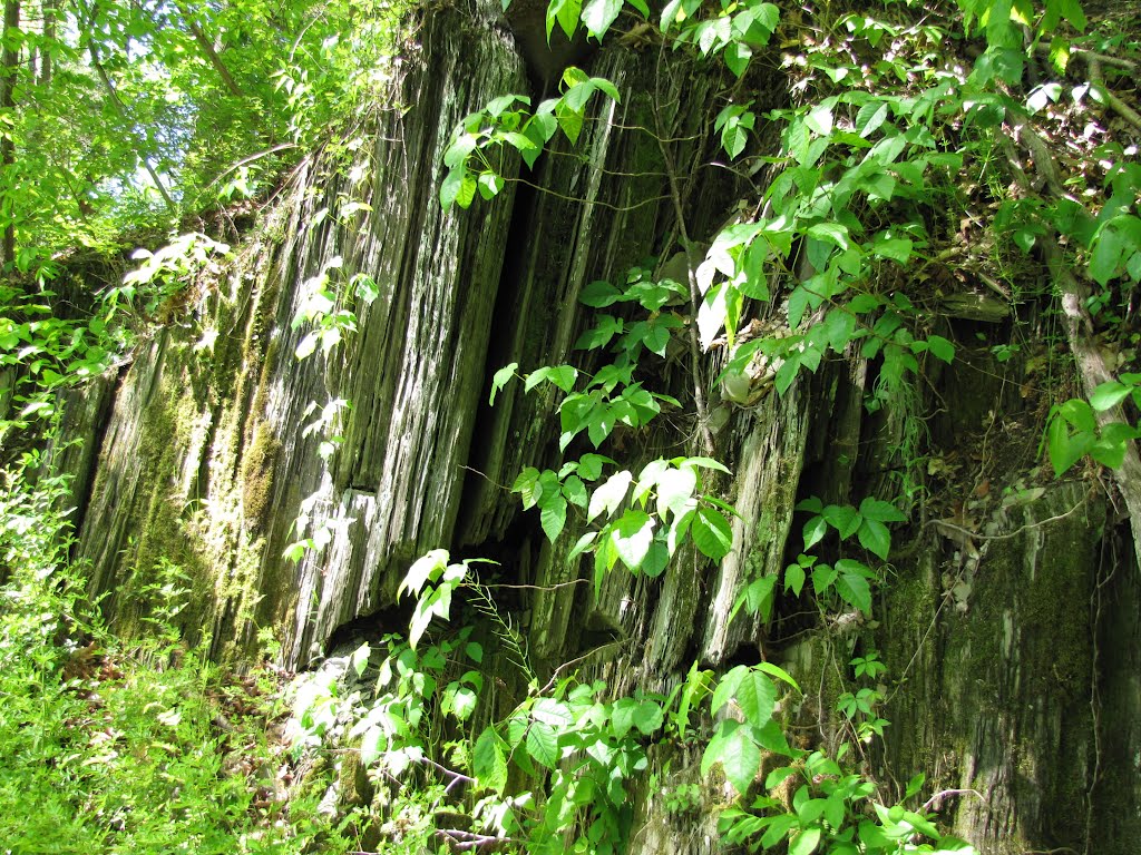 Paulinskill Valley Trail Outcrop by Chris Sanfino