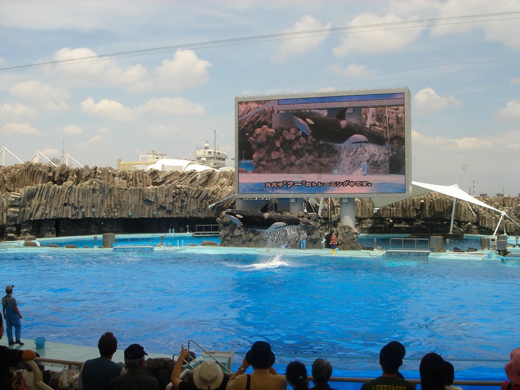 Nagoya Aquarium by Paulo Vilhena