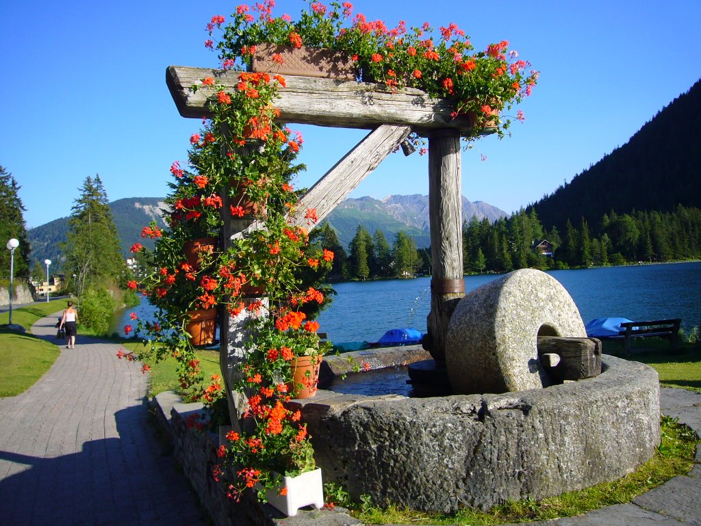 Puit au bord du lac de Champex by LucB