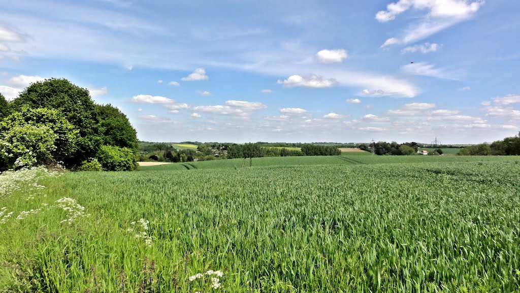 Wolkenspiele by Willi Prinz