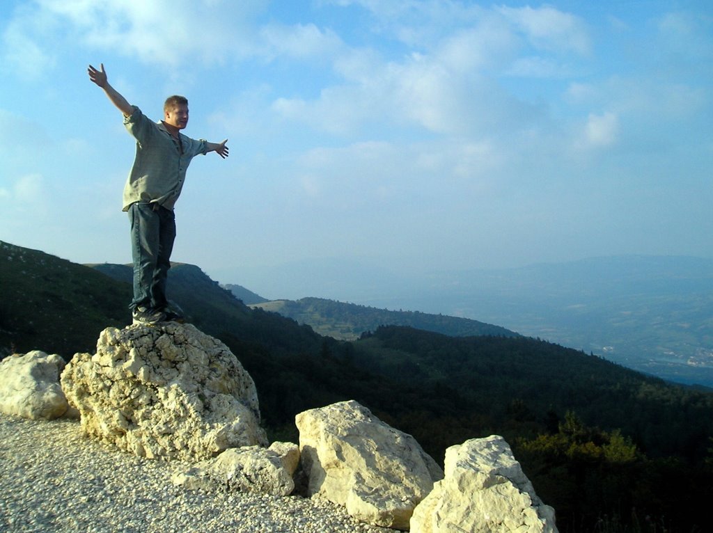 The king of the world by Courtin jerome