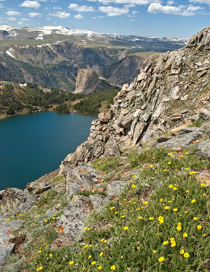 Wildflowers above Twin Lakes in Wyoming, looking north toward Montana by Jerry Blank