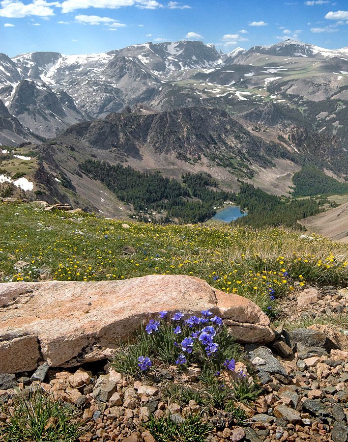 Looking NW toward Twin Lakes and the WY-MT border, with Beartooth Plateau in background by Jerry Blank