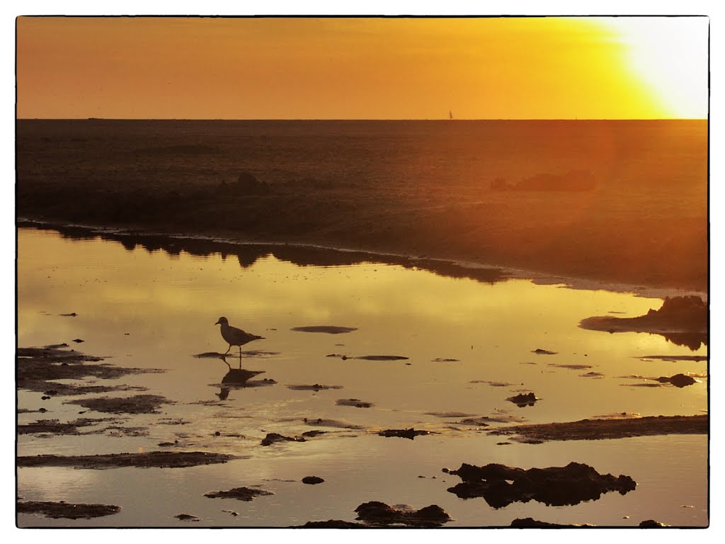 Sunset, beach Texel by Fem Dijkman-Timmerman