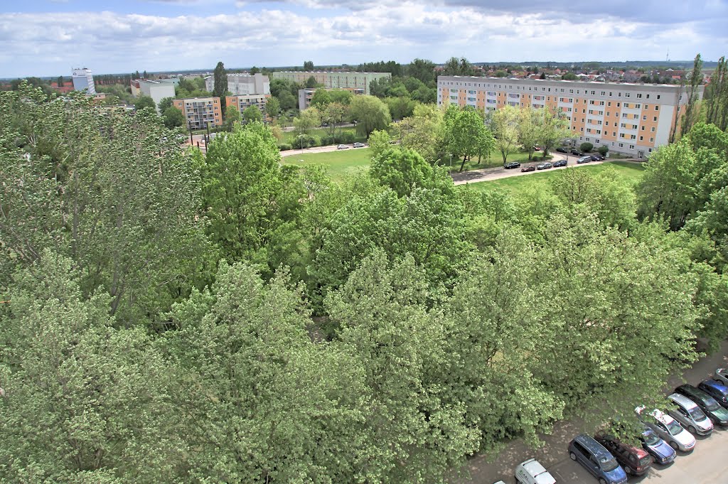 Blick vom 10er Hermann-Hesse-Straße by Rene Lichtenstein