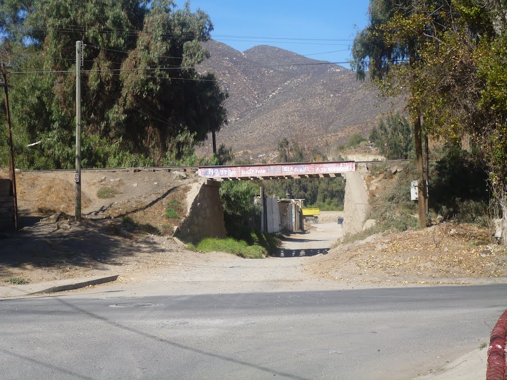 Puente Ferroviario ''La Maquina''. by francisco-pf