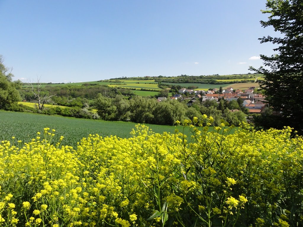 Blick auf Mertesheim by SilkeMa