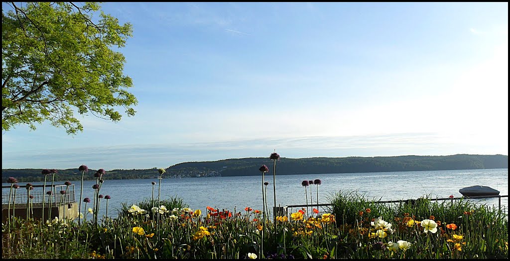 Überlingen am Bodensee - Seepromenade by Sehnwirmal