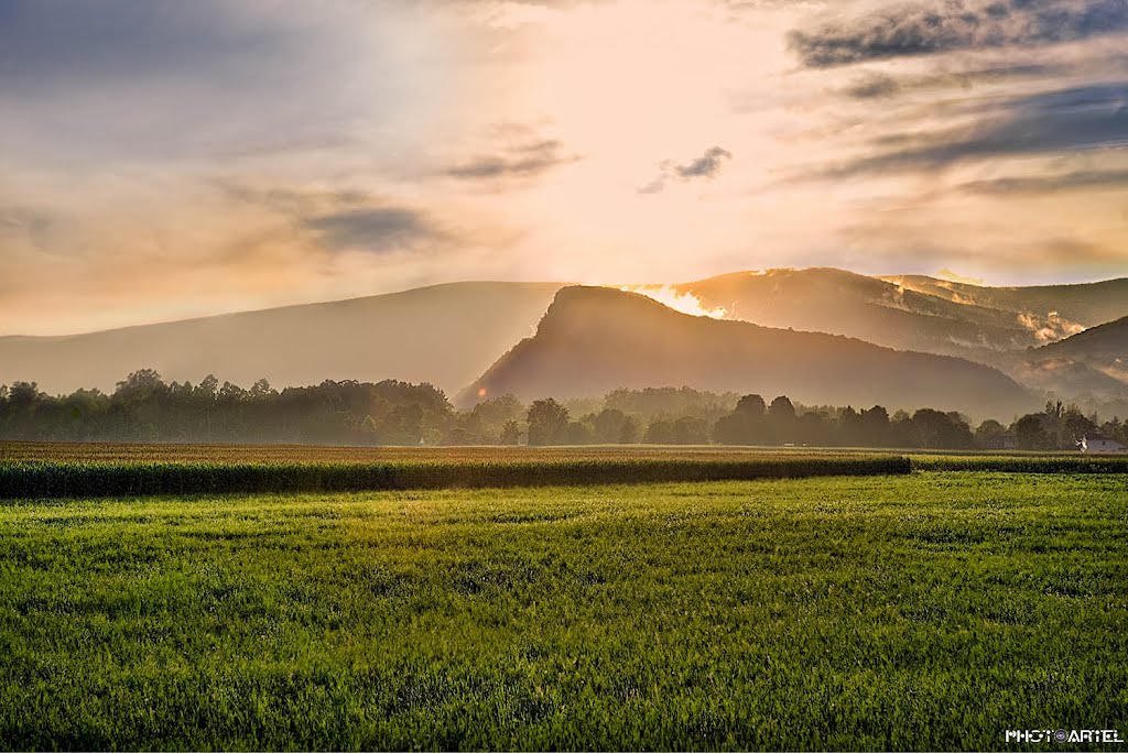 Landscape. Otsego area. Upstate NY. by photoartel