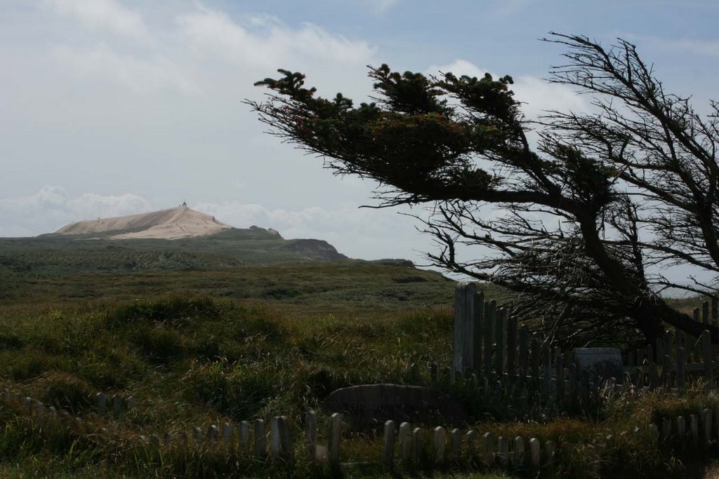 Rubjerg Knude seen from Mårup Kirke by arhitekt