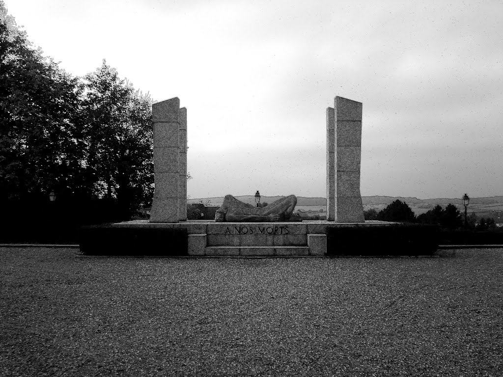 Monument aux morts d'Altkirch by SocoA