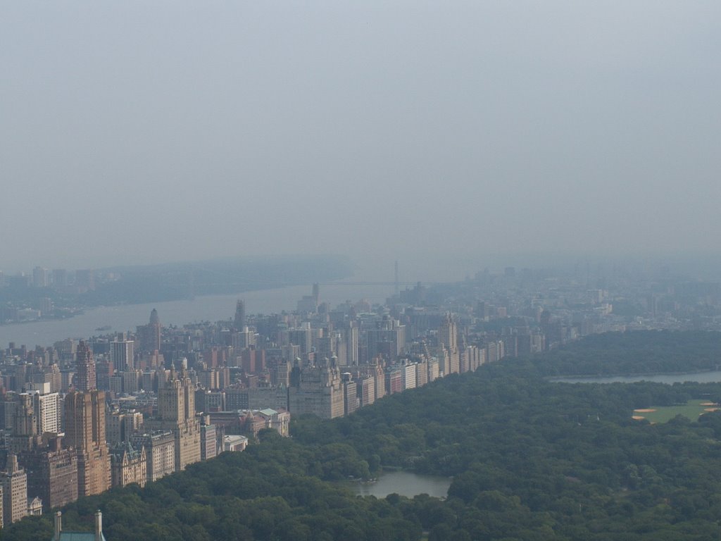 Central Park from the Rockefeller Building by ronmak