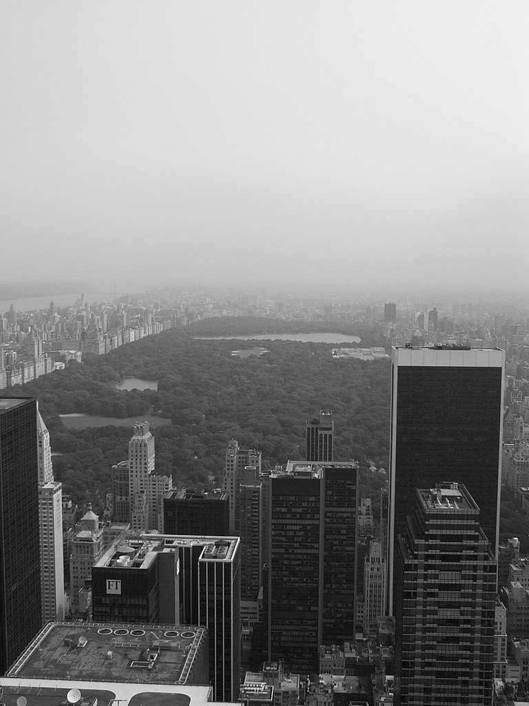 Central Park from Rockefeller Center by ronmak