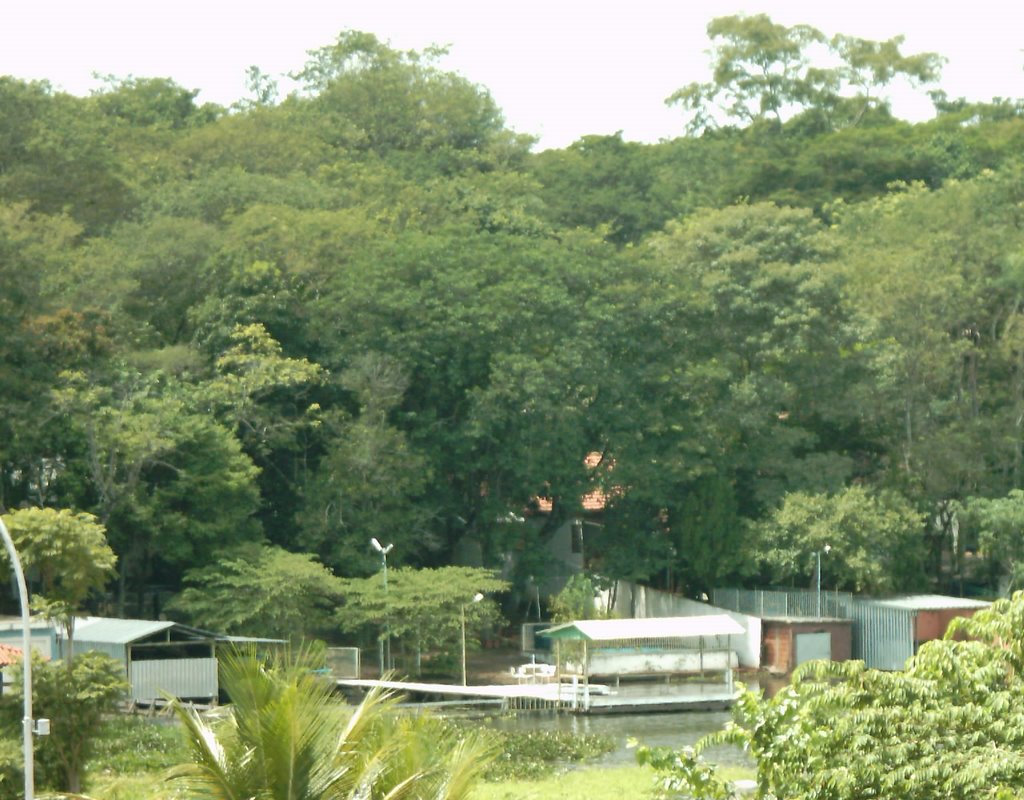 Margem do rio Jacaré by Gustavo camargo abib