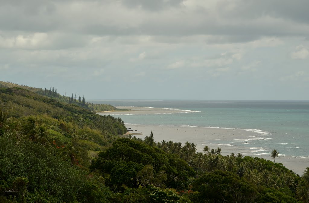 Pointe de Ponandou sur la Côte Est (Nouvelle-Calédonie) by Naru Kenji