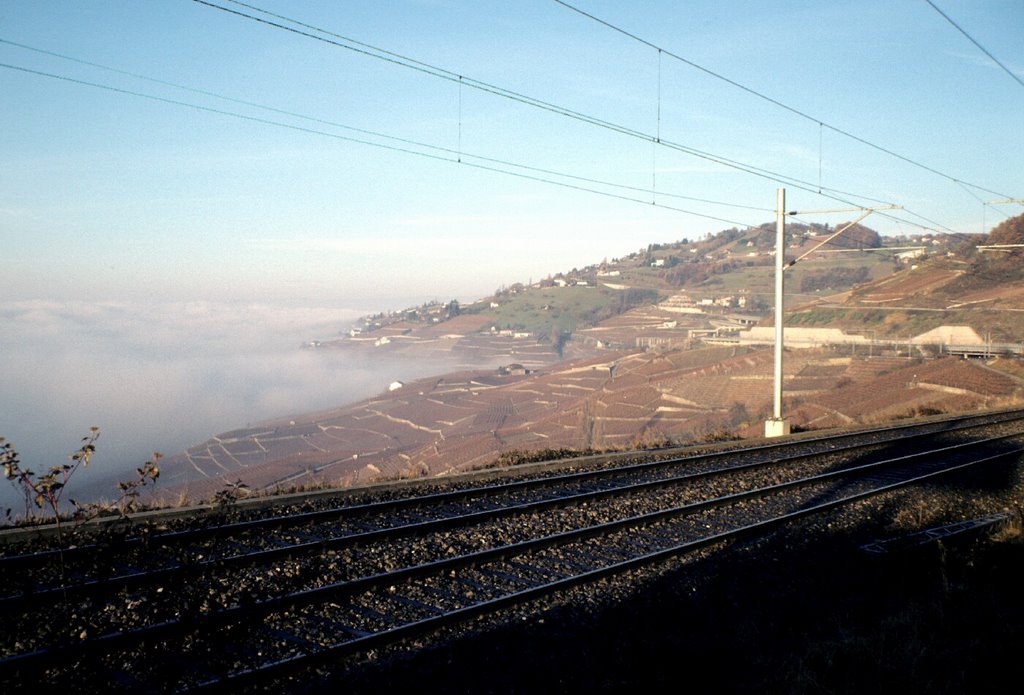 Lavaux by booh