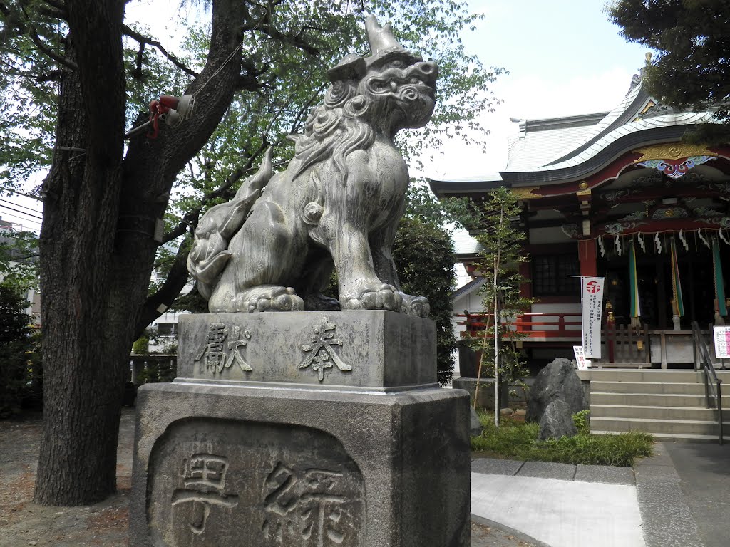 青山熊野神社　狛犬　aoyamakumano shinto shrine by nkmroioikkkz